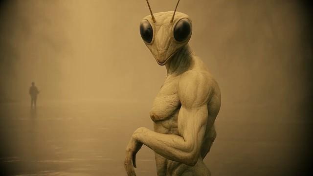 Earth's Mantis Overlords | They've Been Here all Along (STRIPPED)