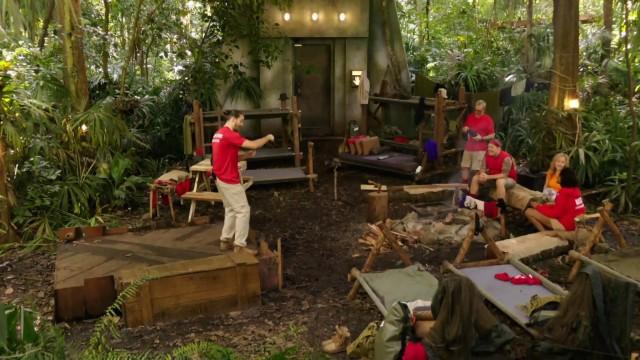 Magasinage dans la jungle