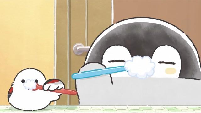 歯磨き