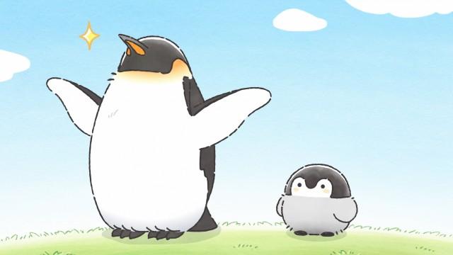 大人のペンギンさんは空を飛んでみたい