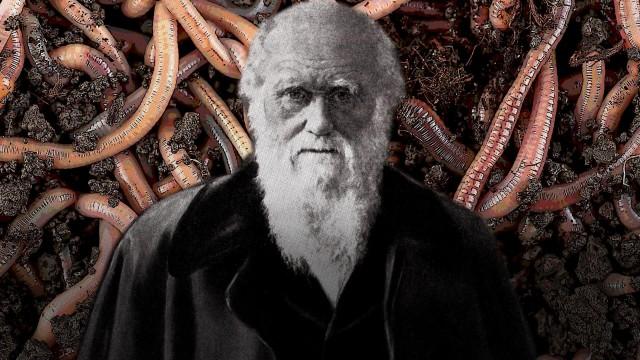 Darwin's Final Obsession