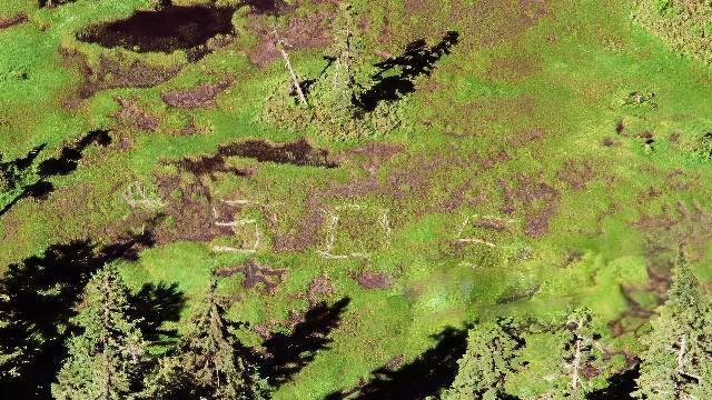 La grabación que inició un misterio sin resolver