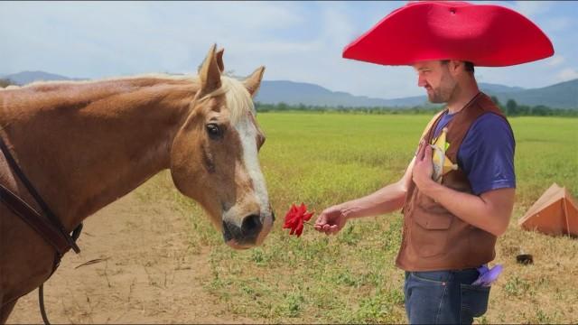 farmers with brain damage get a horse