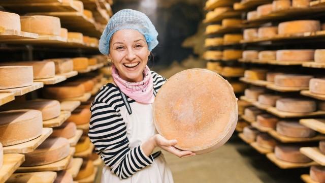 Der Käse-Check