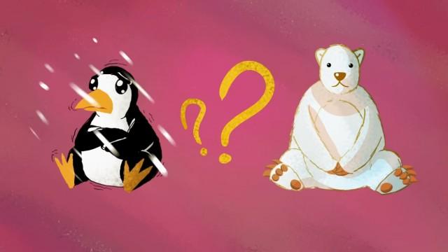 The Arctic vs. the Antarctic - Camille Seaman
