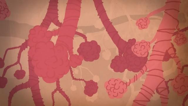 Oxygen’s surprisingly complex journey through your body - Enda Butler