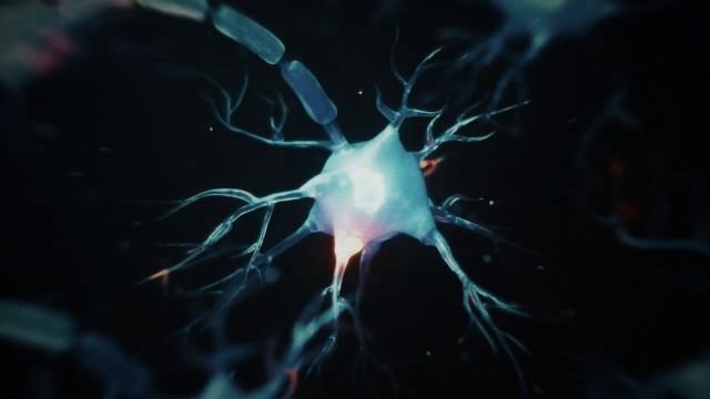 The Awakening of Human Consciousness | Forbidden Fungus (STRIPPED)