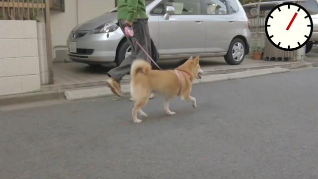 ▽フレーミー▽デジタルウォーク