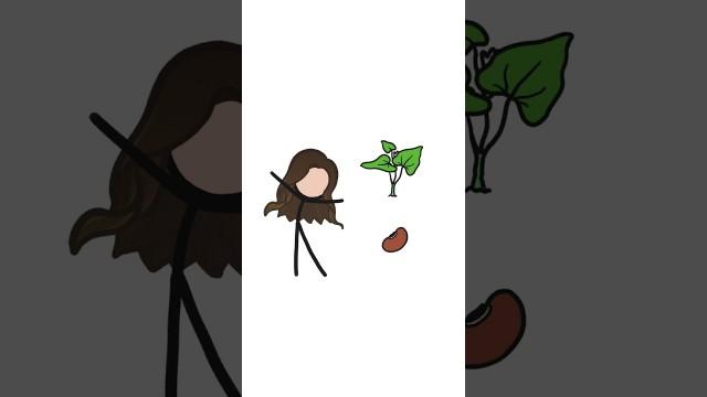 What came first? The Seed or the Plant?
