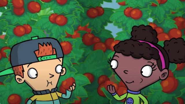  Grow Your Own Tomatoes