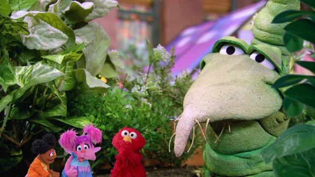 Garden Explorers