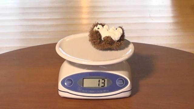 ▽100グラムにちょうせん▽まきじゃくのジャック