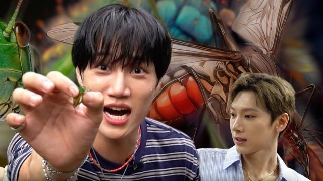 The easiest way to enter SNU [SNU Insect Club]