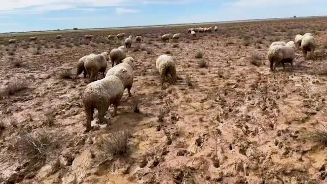 Episode Twenty Seven