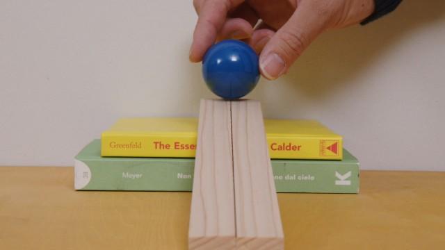 「ビーだま・ビーすけ おどろきの秘密 大公開スペシャル!」