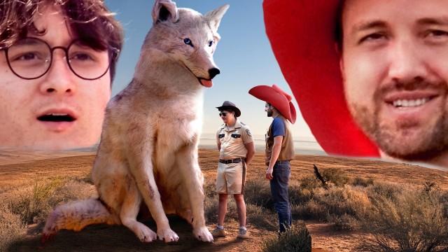 we made a show - SCARE THE COYOTE - Ep 1