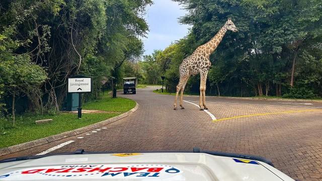 Diamantlandet Botswana