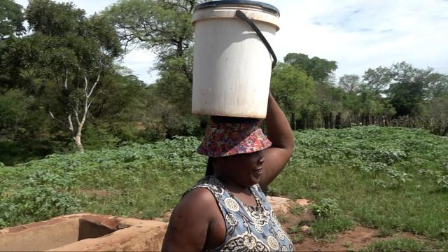 Femti milliarder dollar for et egg