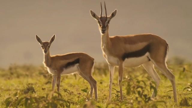 Puntata del 21/07/2025