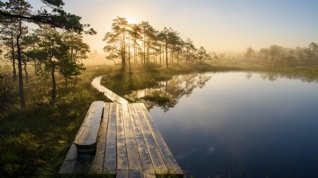 Estland - Geheimtipp im Sommer!