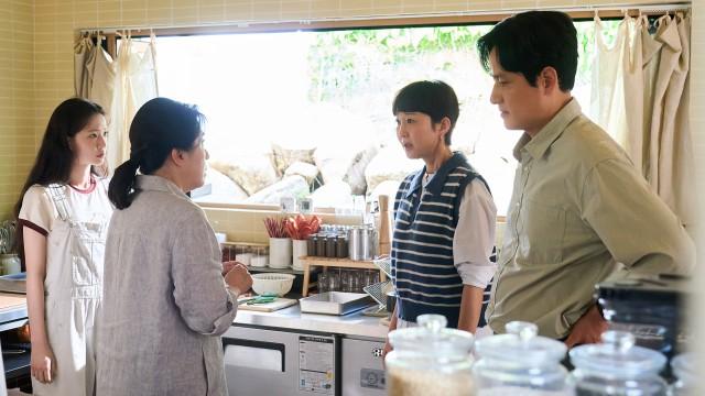 The Woman with the Suitcase