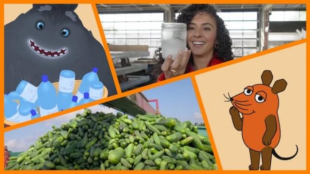 Streusalz aus Gurkenwasser | Trudes Tier: Sitz