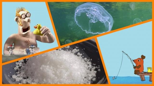 Wie frisst eine Qualle? | Rico und Oskar: Die perfekte Arschbombe | Salz – Wie kommt es aus dem Meer? | Shaun das Schaf: Badetag
