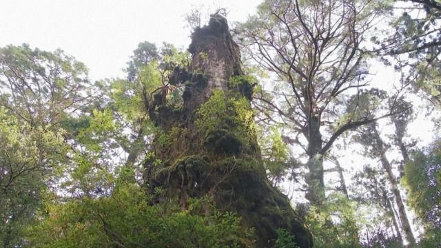 すべて見せます！日本の自然遺産