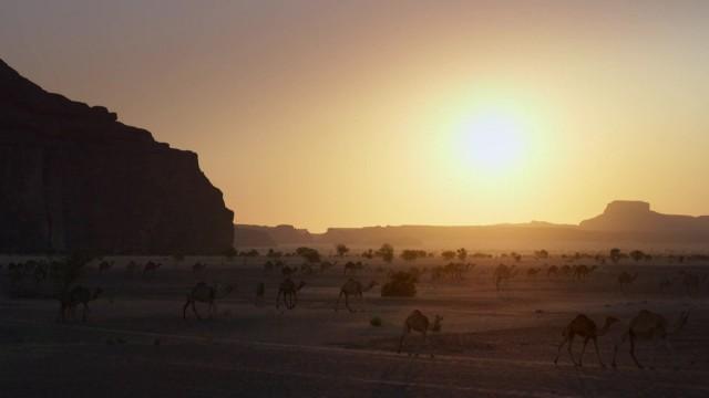 Planète Terre III : déserts et prairies