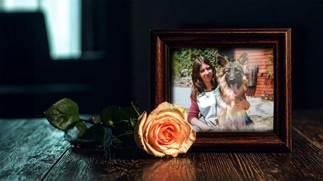 A Mother's Absence - Michelle Gunshon