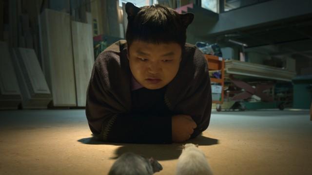 3회
