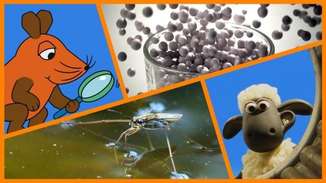 Geheimnis des Wasserläufers | Rico und Oskar beim Entenrennen | Herstellung eines Wasserballs | Shaun das Schafe: Spaß mit einem Bumerang