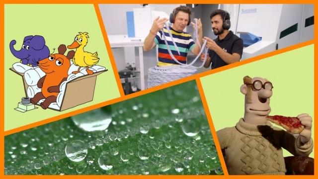 Woher kommt der Tau? | Zwei-Minuten-Märchen | Textilrecycling: Wie werden aus alten Kleidungsstücken neue? | Shaun das Schaf: Pizzaservice