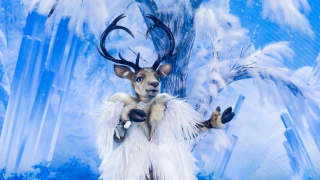 Découvrez les 5 premiers chanteurs masqués