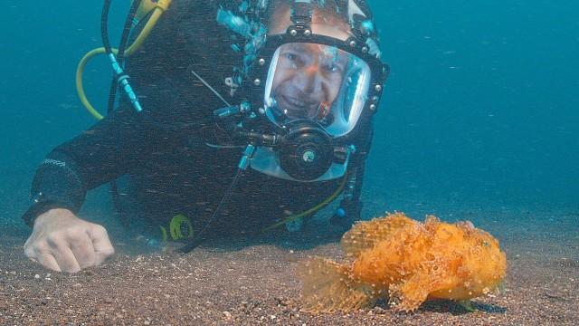 Ocean Oddballs