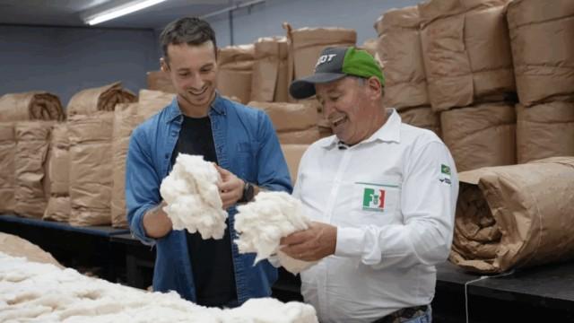 Coton, laine : la face cachée de nos matières naturelles