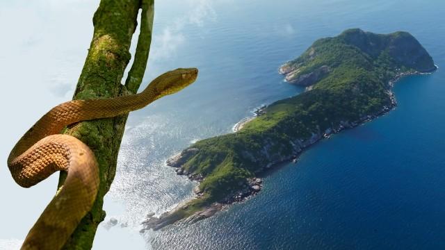 Snake Island
