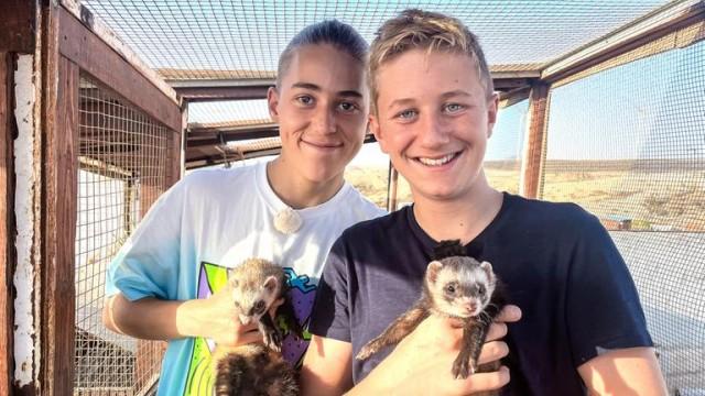 Kuscheln mit Freddy Frettchen