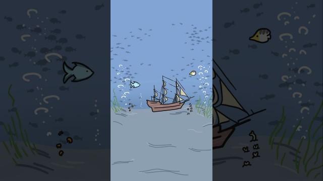 How long will a shipwreck last on the sea floor?