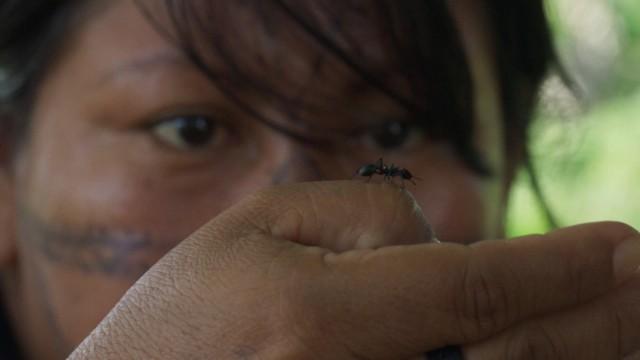 Planète Terre III : héros