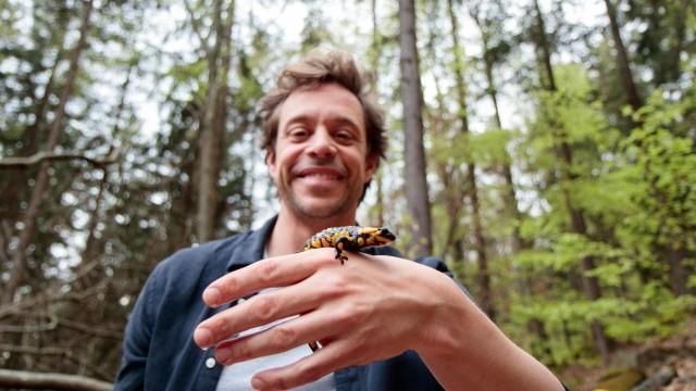 Der Freiwilligen-Check