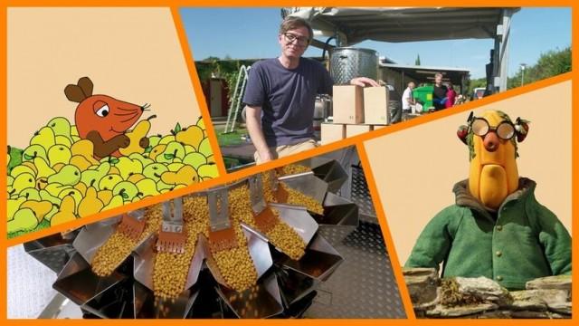 Wie werden Backerbsen hergestellt? | Wie wird aus Äpfeln Apfelsaft? | Shaun das Schaf: Doppeltes Unheil