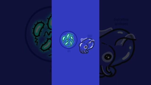 Bacteria are super diverse organisms!