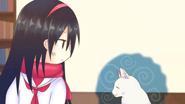 A School Where Cats Can Attend