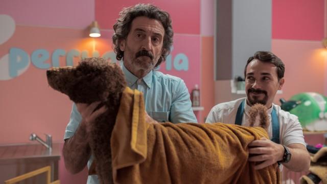 Like a Guinea Pig on a Hot Tin Roof