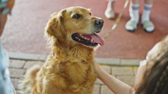 שקשוקה לנצח