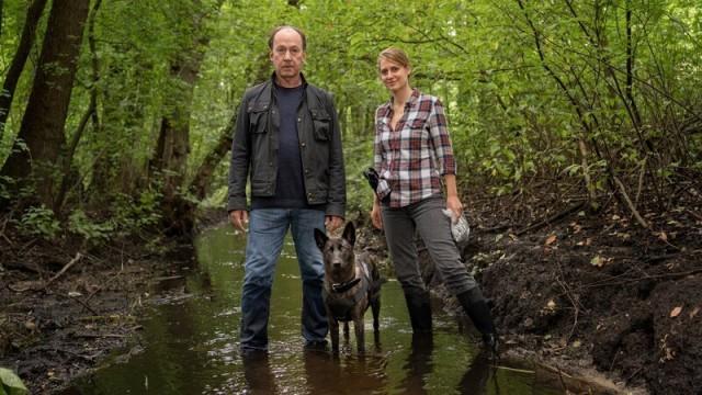 Stiller und der Wolf im Schafspelz