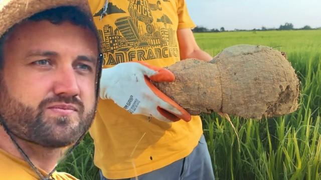 farmer grows giant peanut by mistake