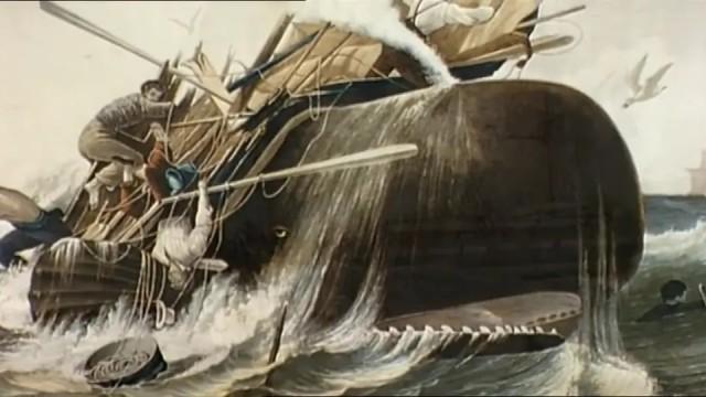 Moby Dick: The True Story
