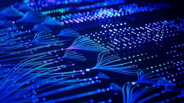 Brain Cells and Biocomputing